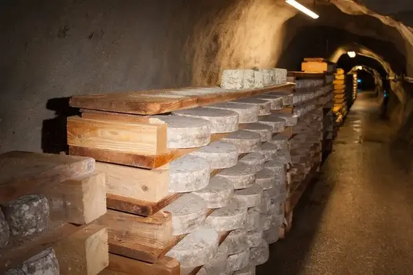 Les Caves d'Affinage de Savoie